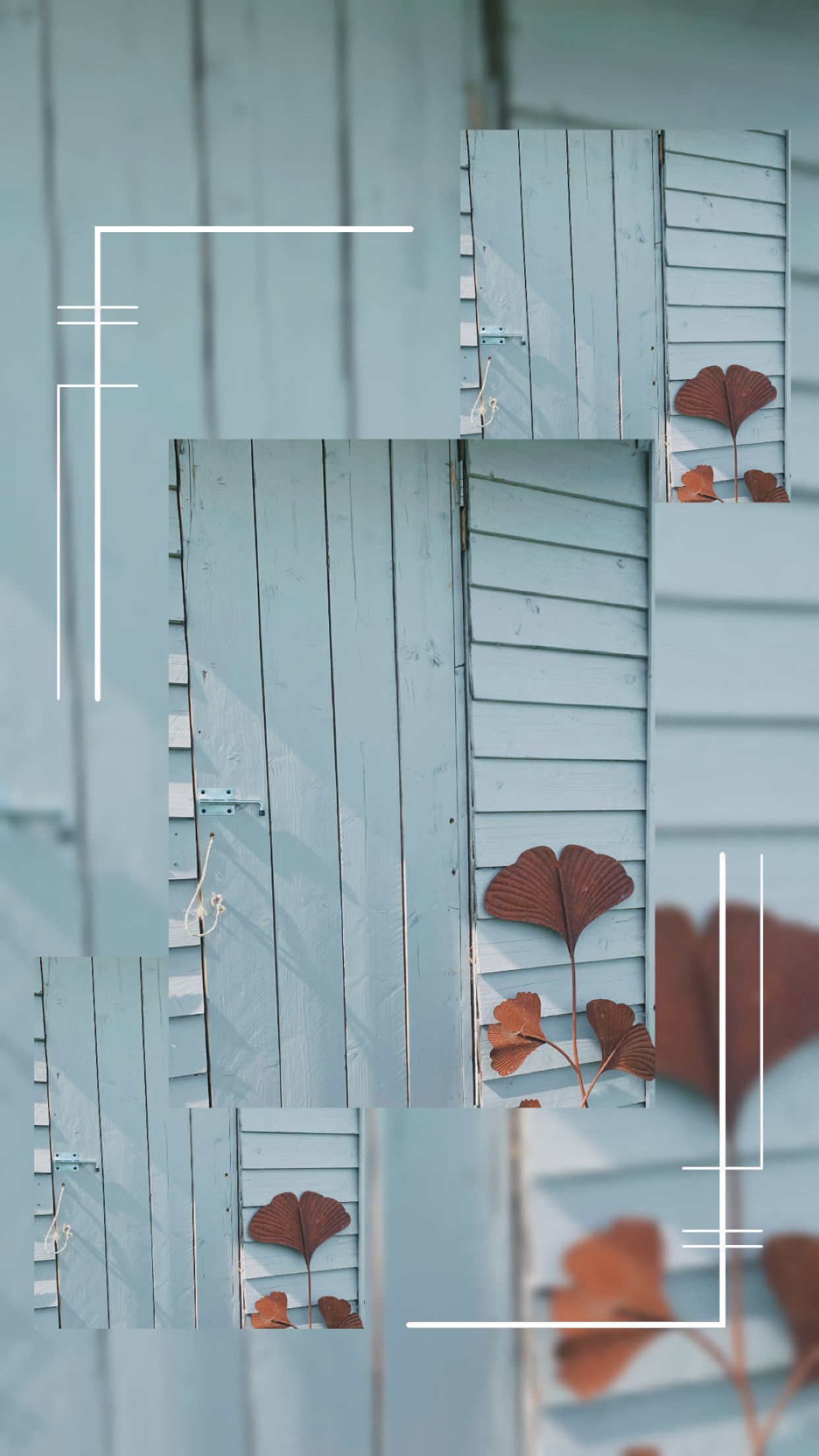 Pierres pour la lithothérapie