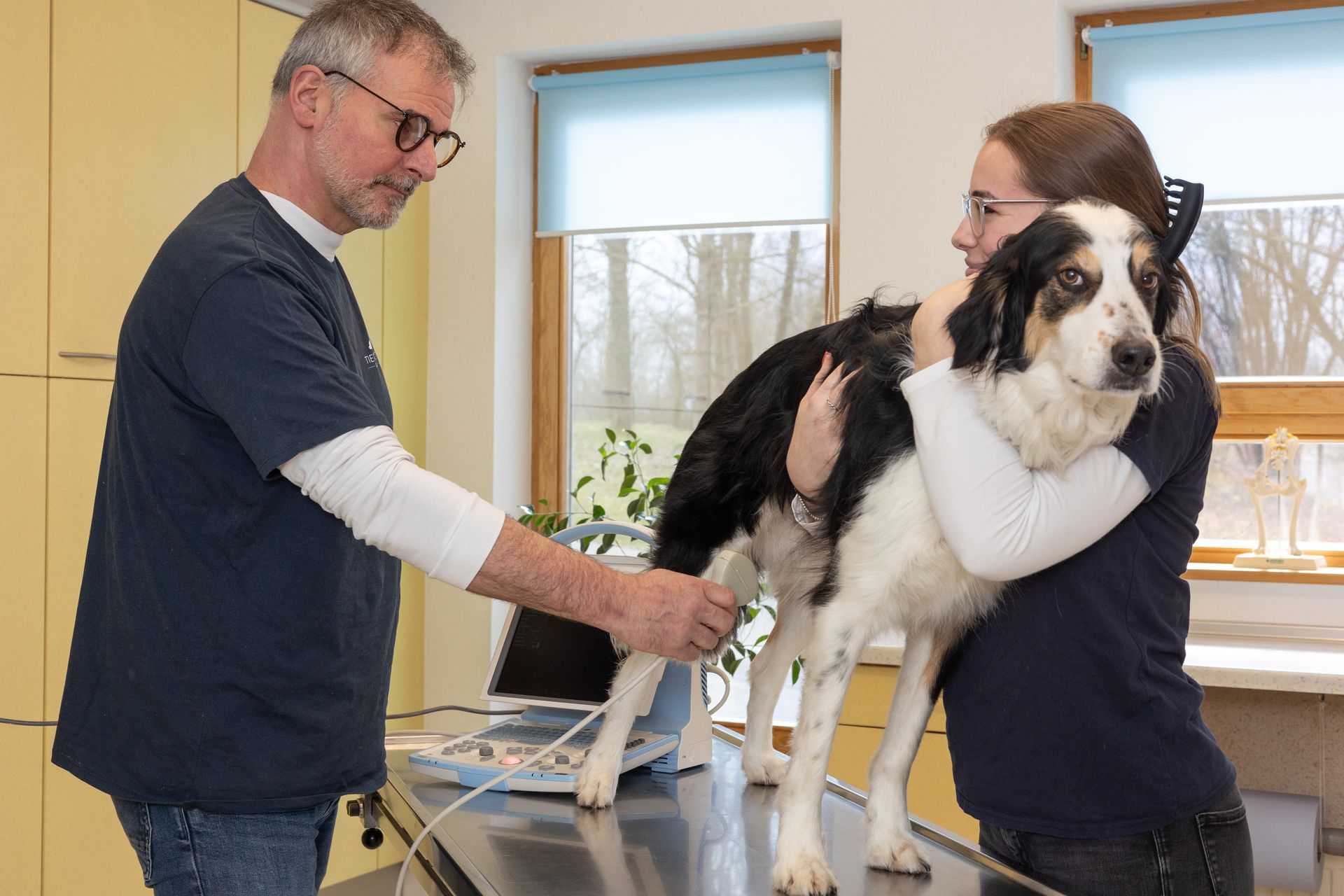 Ein Tierarzt untersucht einen schwarz-weißen Hund auf einem Tisch, während ein Assistent den Hund in einer Tierklinik festhält.
