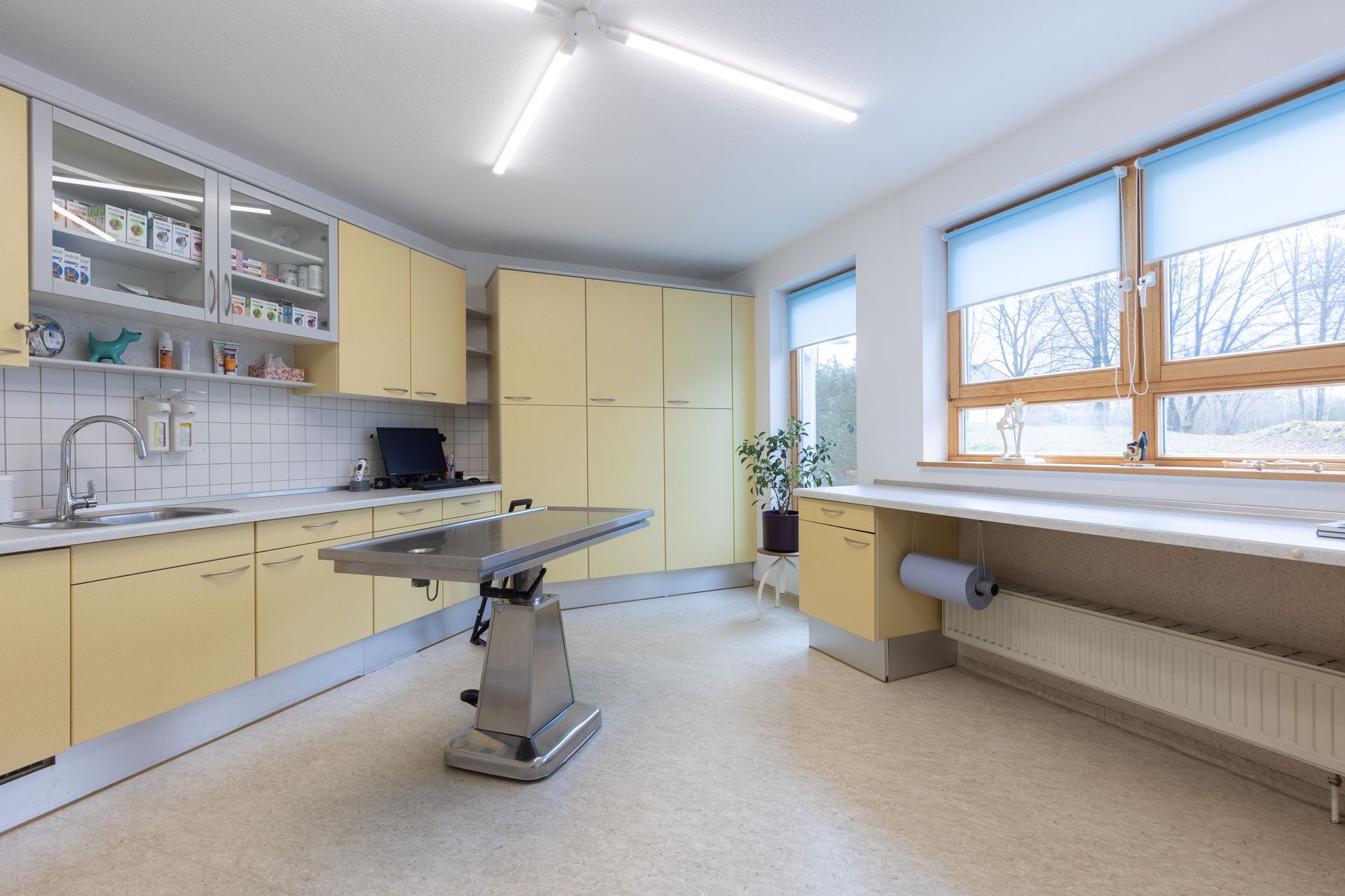 Veterinärmedizinischer Untersuchungsraum mit Edelstahltisch, Schränken und Fenster mit hellblauen Jalousien.