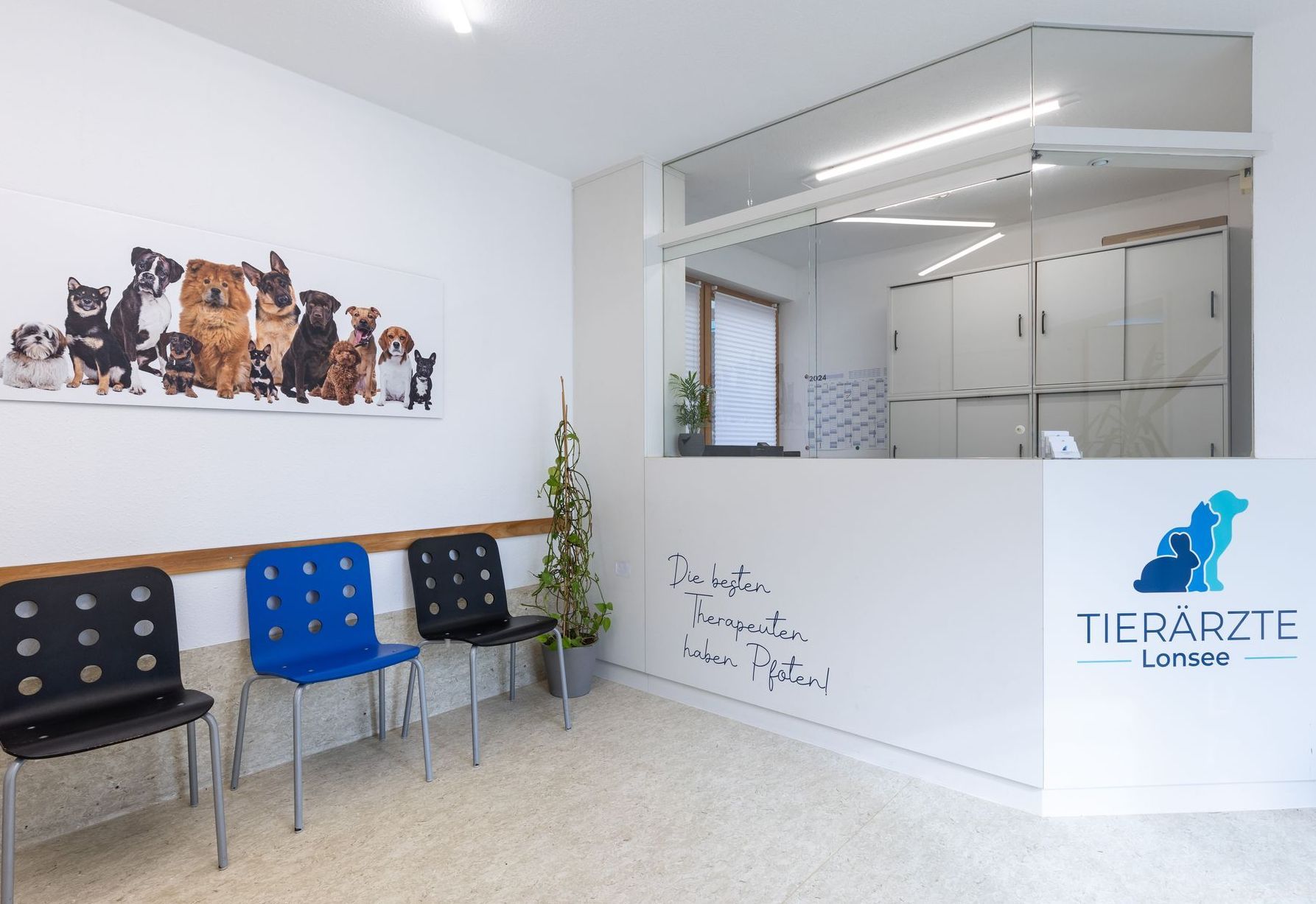 Wartebereich einer Tierklinik mit Stühlen, Empfangstresen, Hundekunst und Logo.