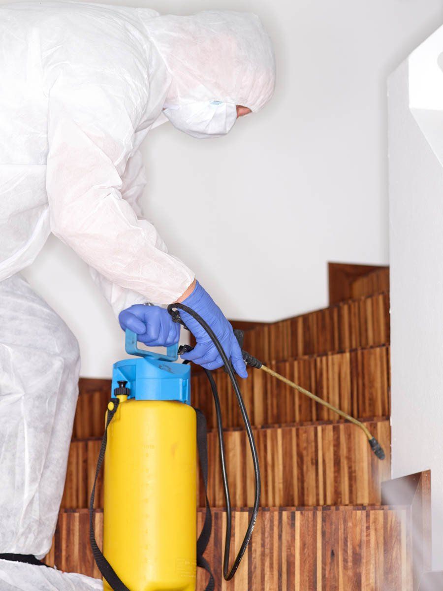 Spécialiste appliquant un traitement antinuisible