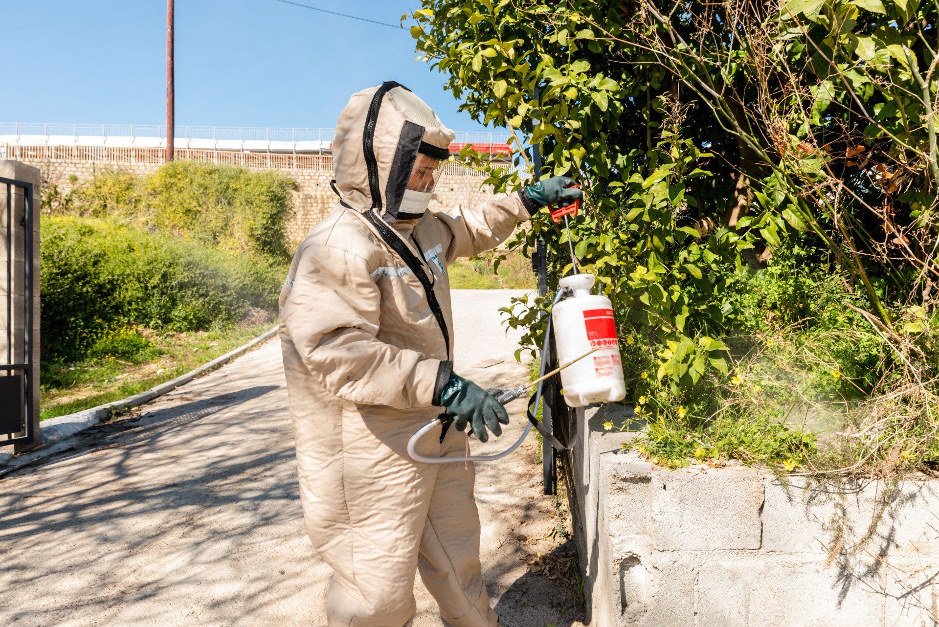 Exterminateur pulvérisant un traitement sur un nid de frelons