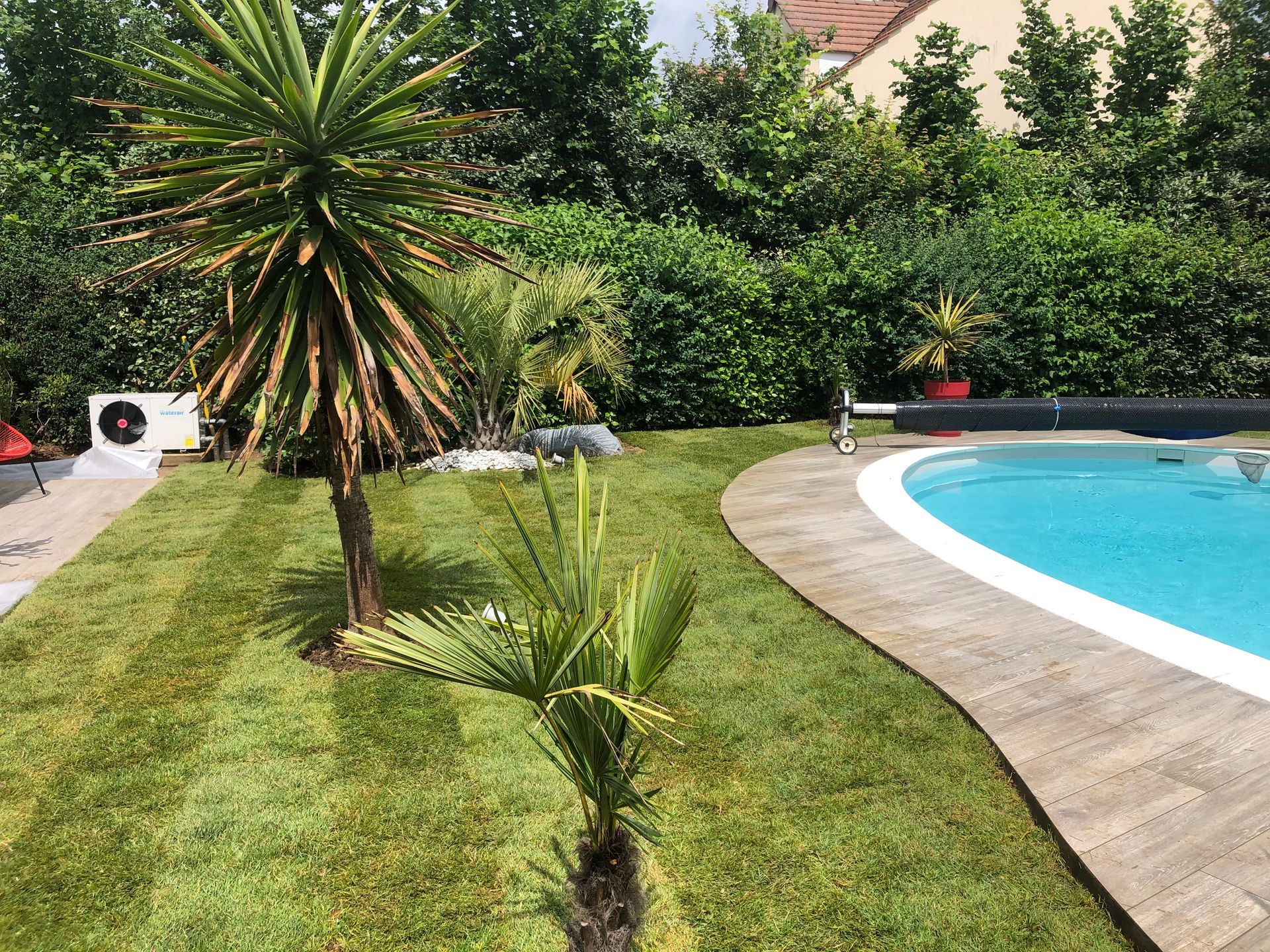 Jardin avec palmiers et piscine