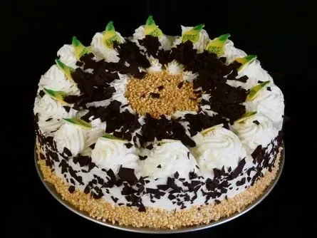 Schichttorte aus Schokolade und Sahne mit weißem Zuckerguss, Schokoladenraspeln und grüner Garnierung.