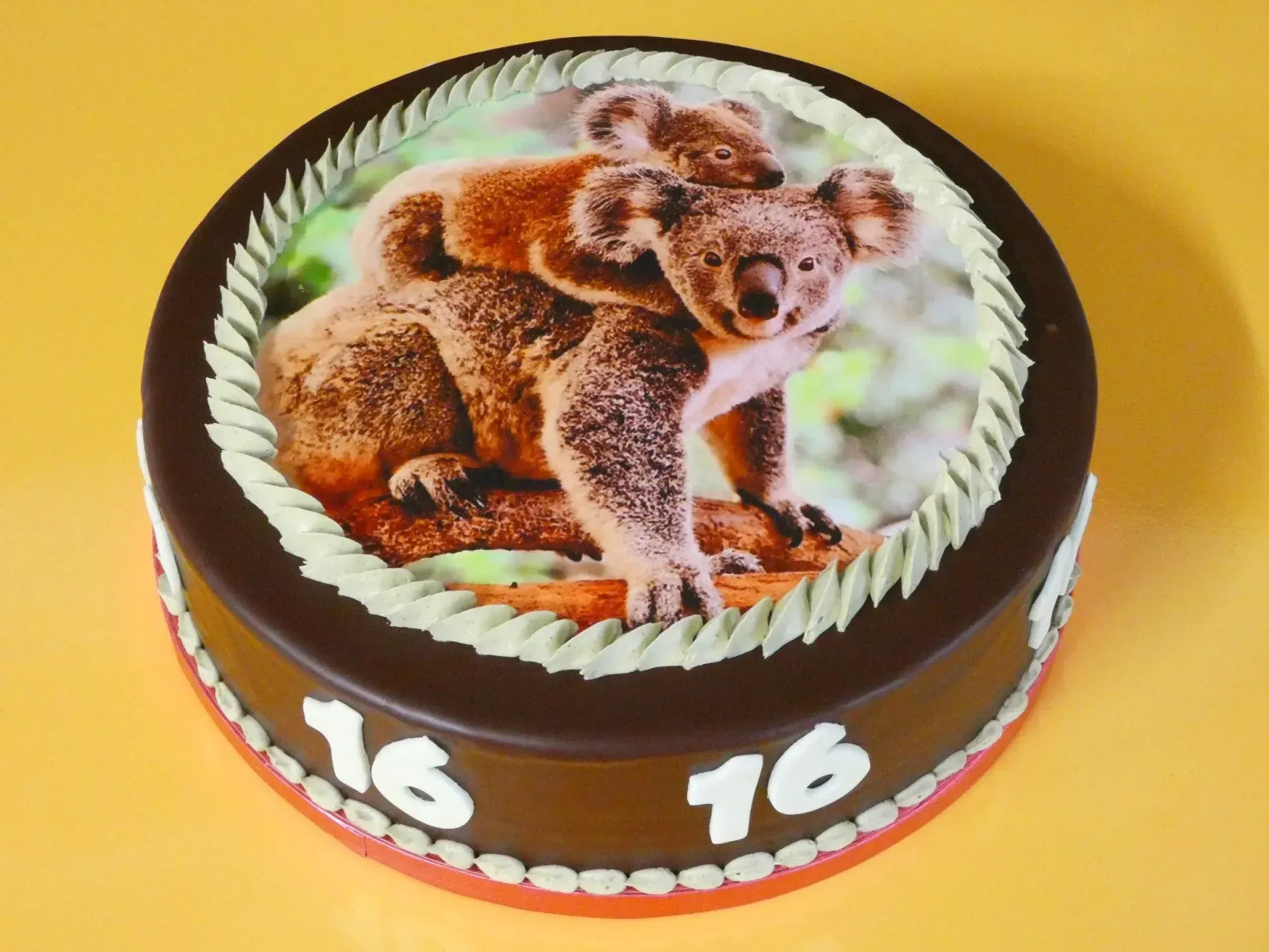 Schokoladengeburtstagstorte mit Koala-Dekoration und weißen „16“-Kerzen auf gelbem Hintergrund