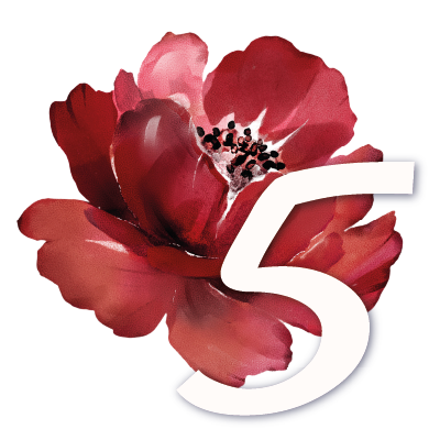Illustration d'une fleur et du chiffre 5