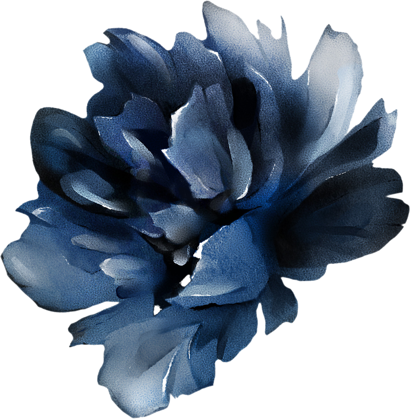 Illustration d'une fleur bleue