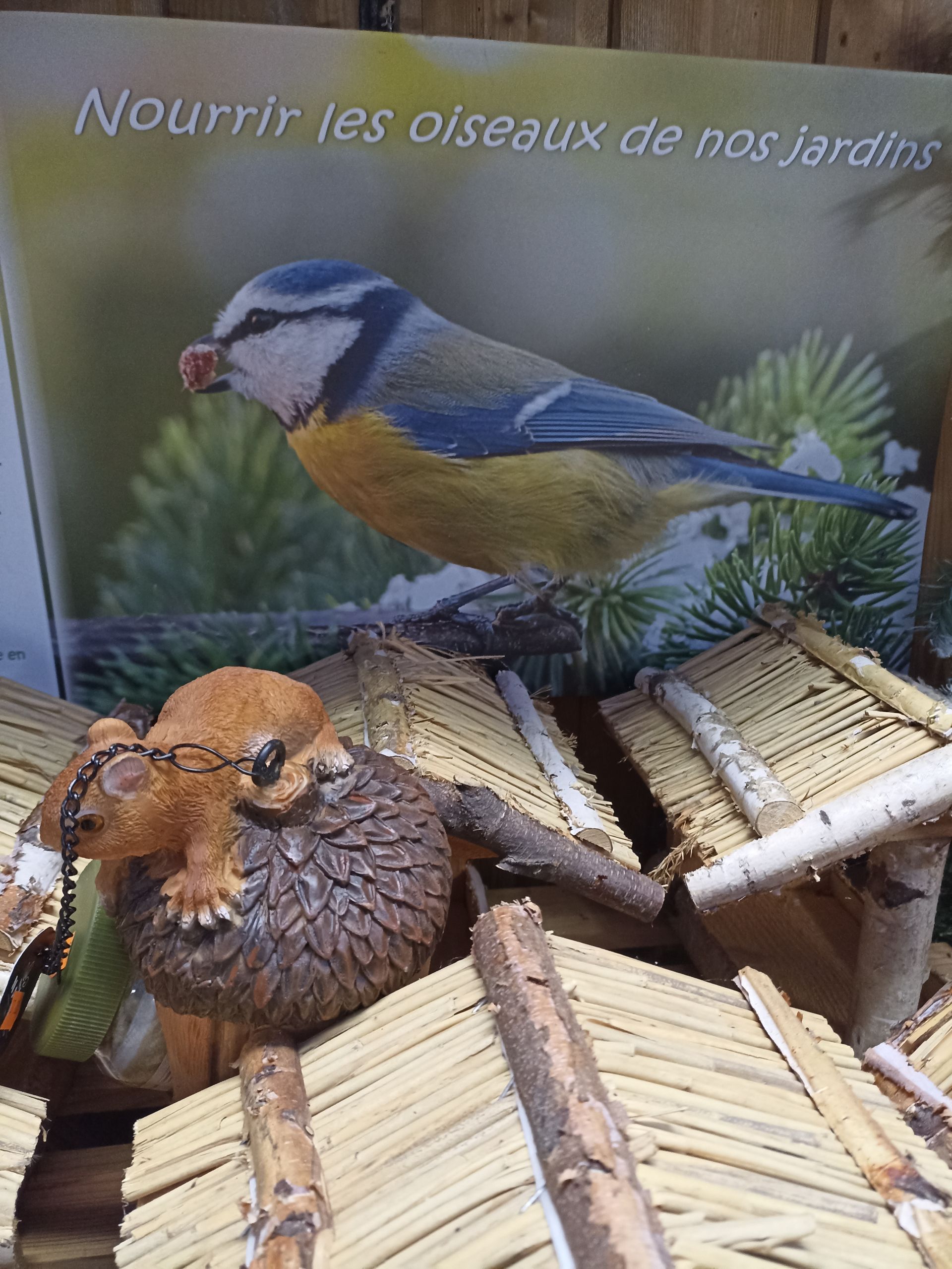 Focus sur des oiseaux dans des nichoirs