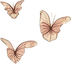 Illustration de papillons