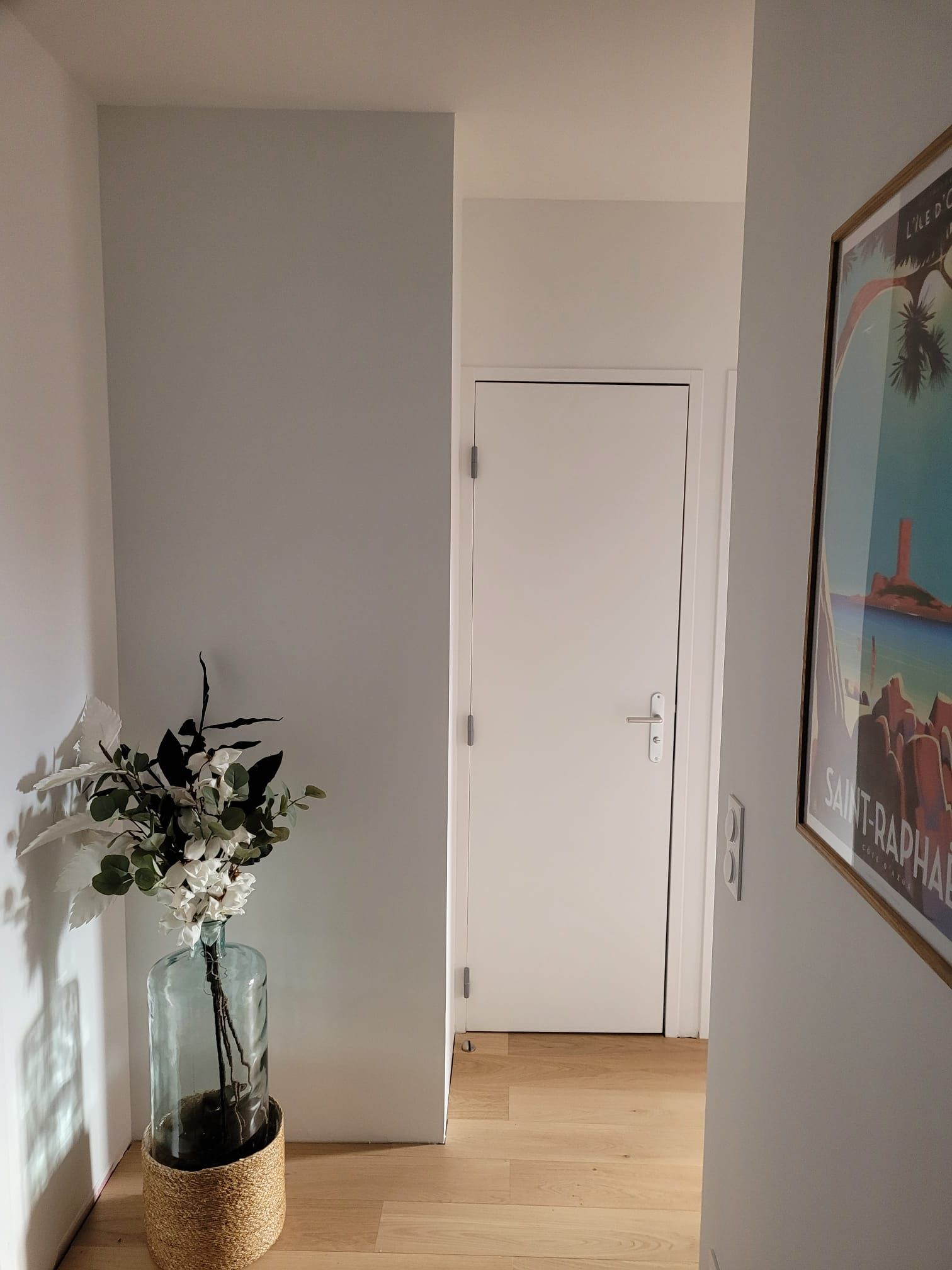 Entrée lumineuse avec plante et porte blanche