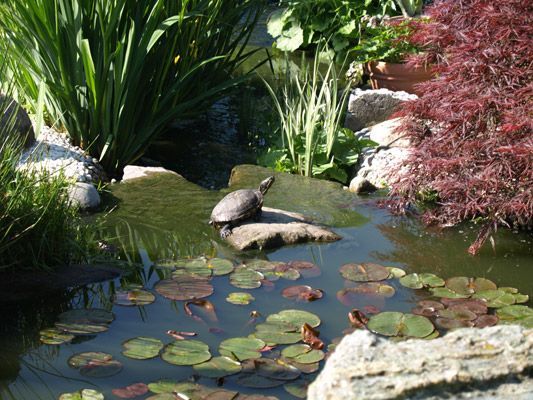 parcs et jardins JWY Nyffeler