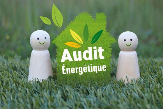 Deux figurines à côté du texte Audit Énergétique sur de l’herbe avec des motifs de feuilles.