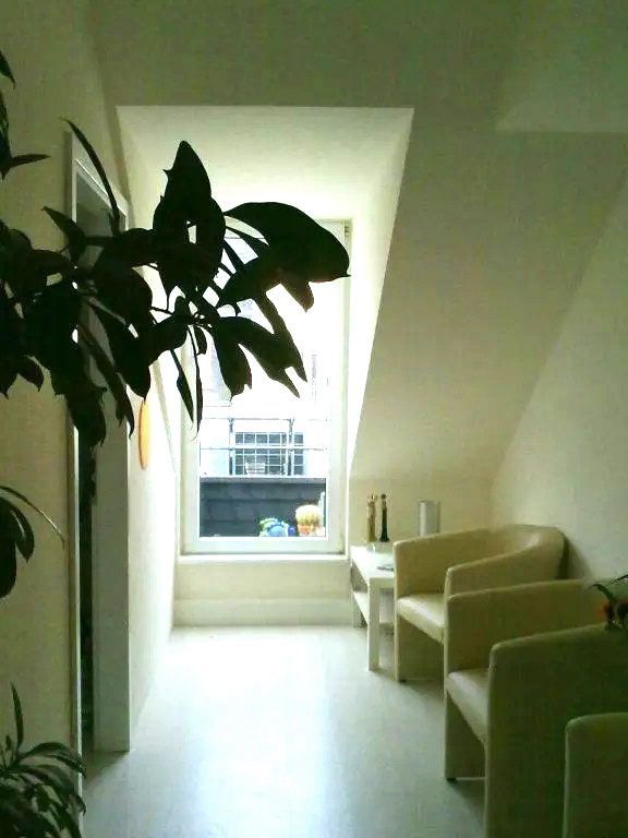 Ein Flur mit Stühlen und einer Pflanze in der Ecke