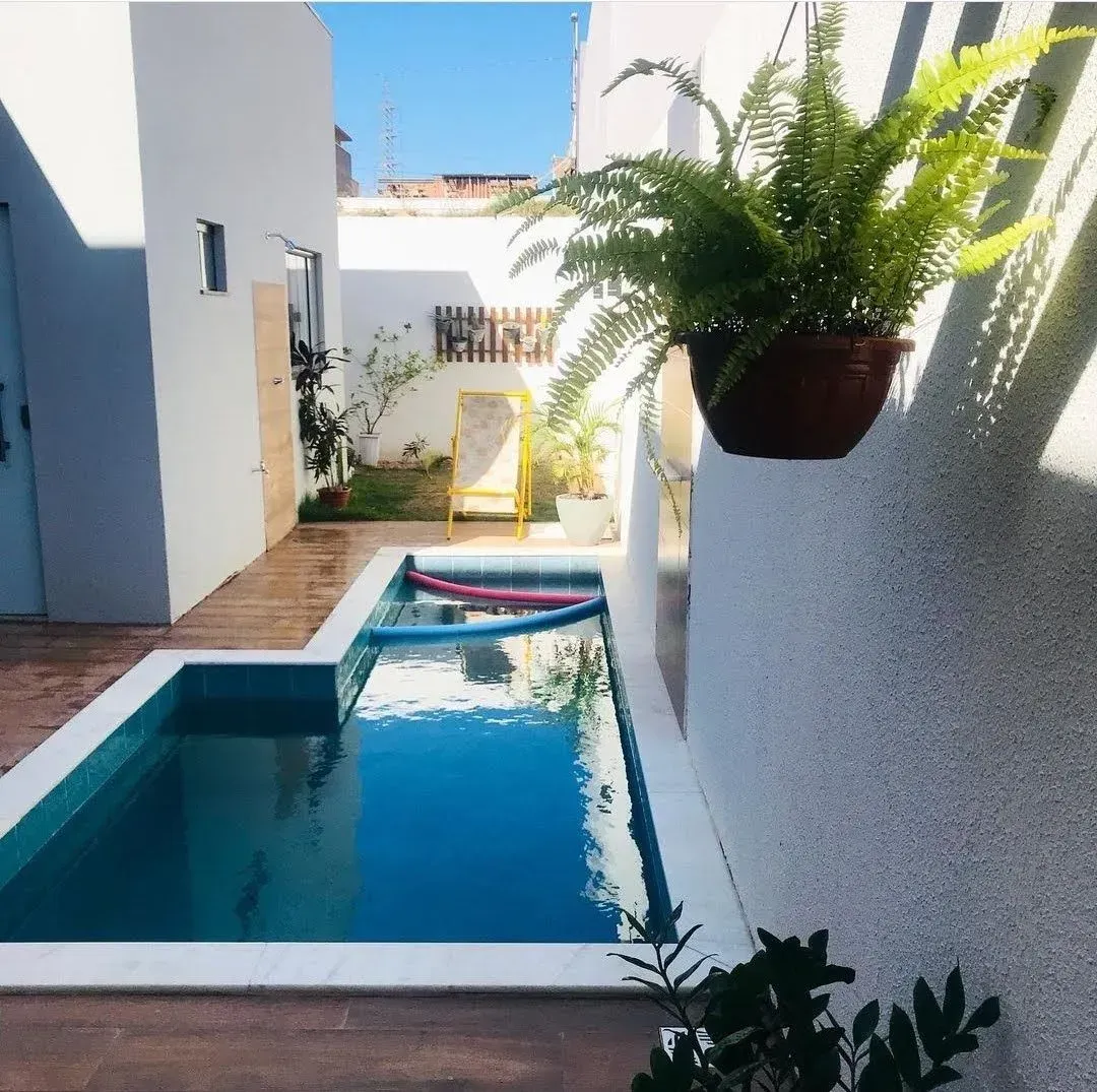 Una planta en maceta cuelga de una pared junto a una piscina.