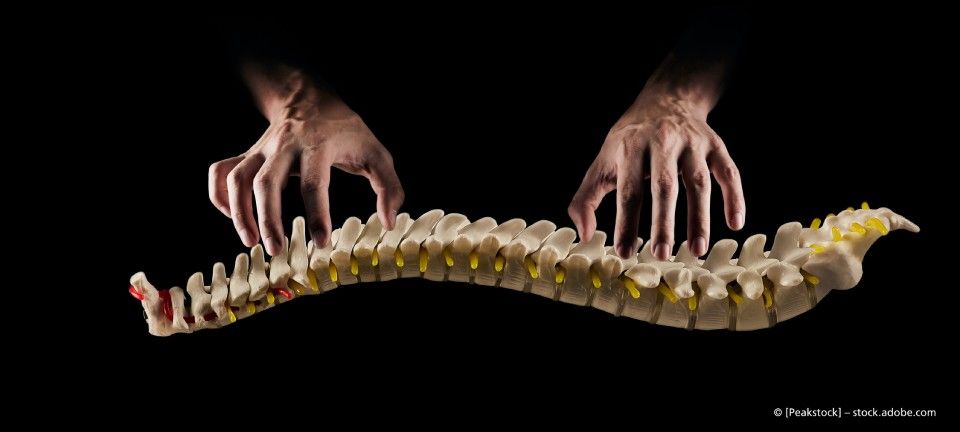 Praxis für Physiotherapie Jörg Engelhardt, Wirbelsäule und zwei Hände