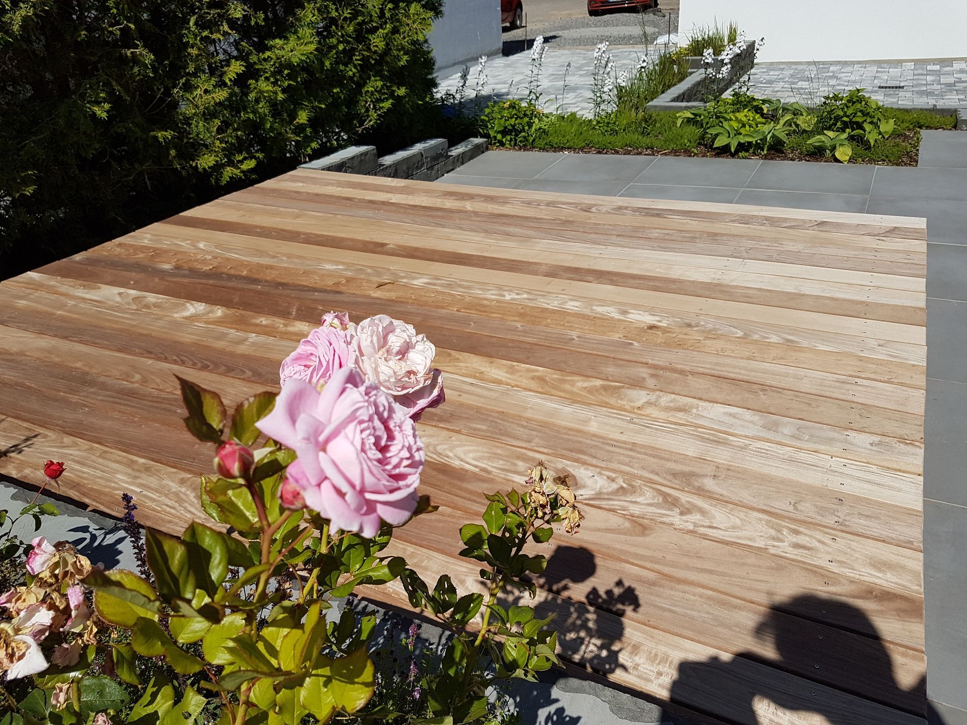 Holzterrasse mit rosa Rosen im Vordergrund, Garten und Haus im Hintergrund.