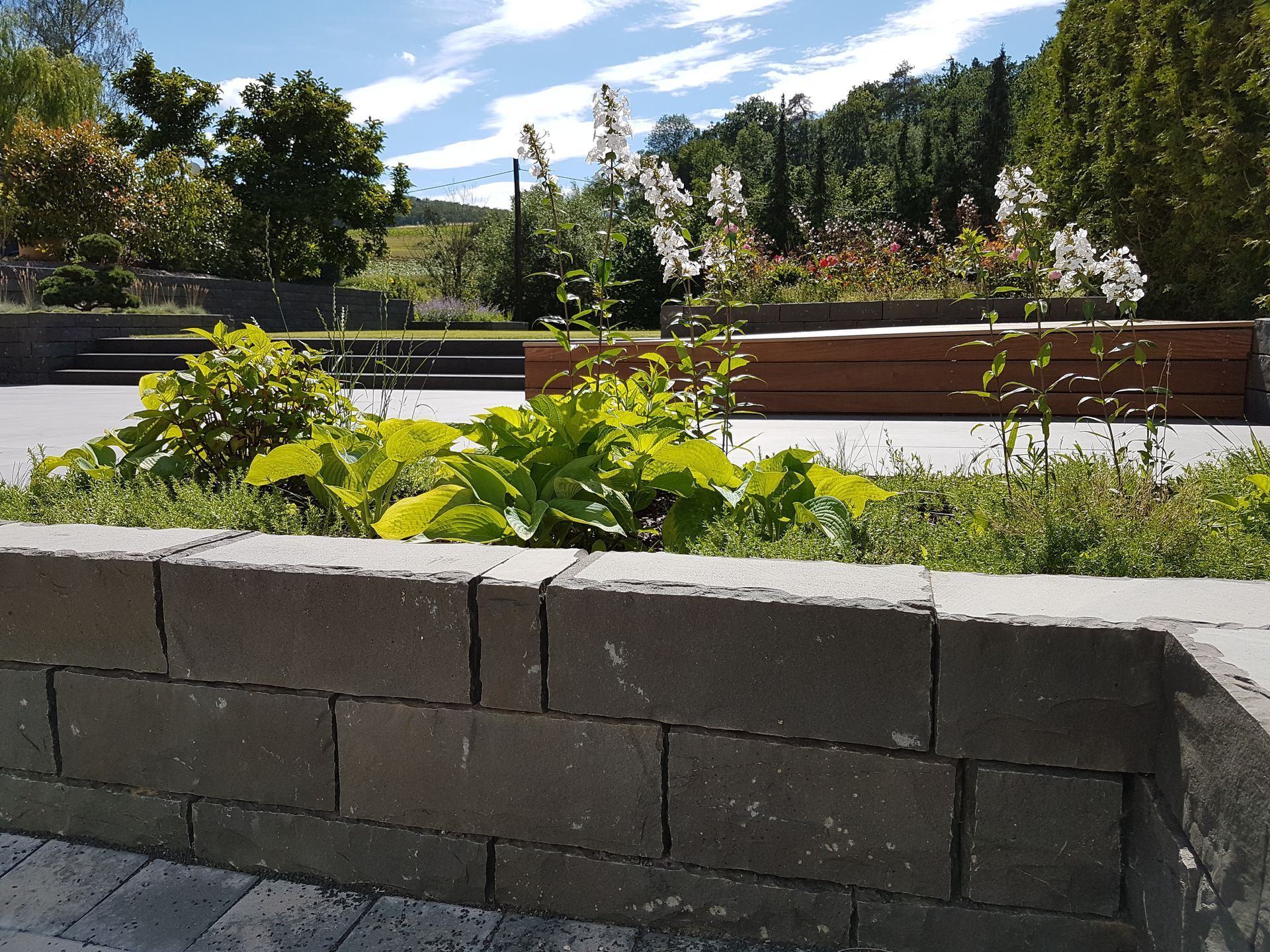 Steinmauer vor einem Beet mit üppig grünen Pflanzen. Sonniger Tag mit blauem Himmel und Bäumen im Hintergrund.