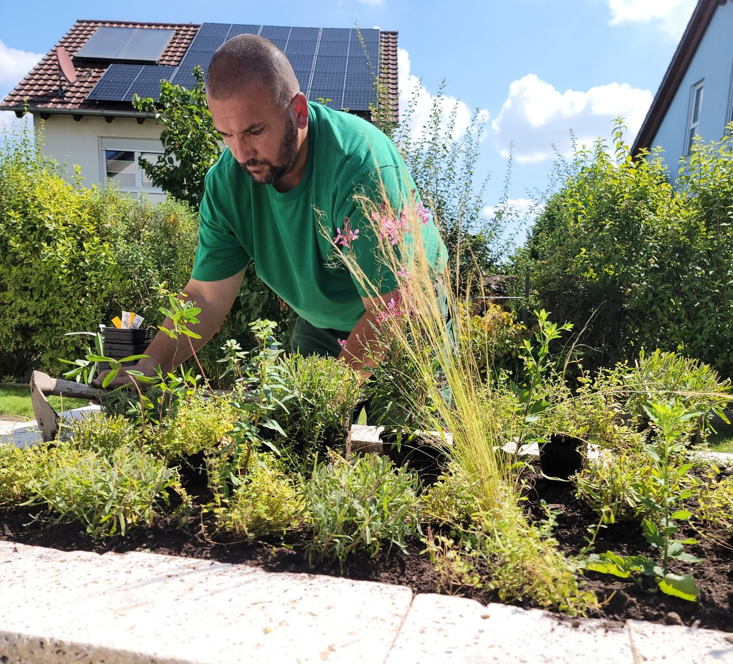 Saftig grüner Rasen mit einem Steinweg und einer Vielzahl bunt blühender Sträucher und immergrüner Bäume am Rand.