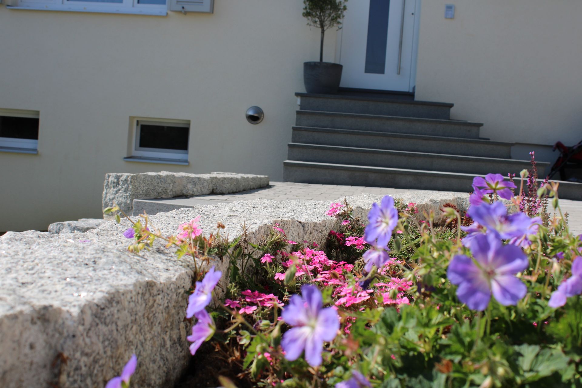 Blumen in einem Gartenbeet vor einem Hauseingang mit Treppe.