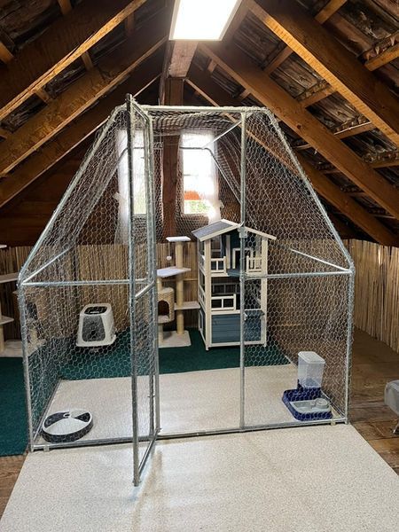 Katzengehege im Innenbereich mit Katzenmöbeln in einem Dachbodenraum.