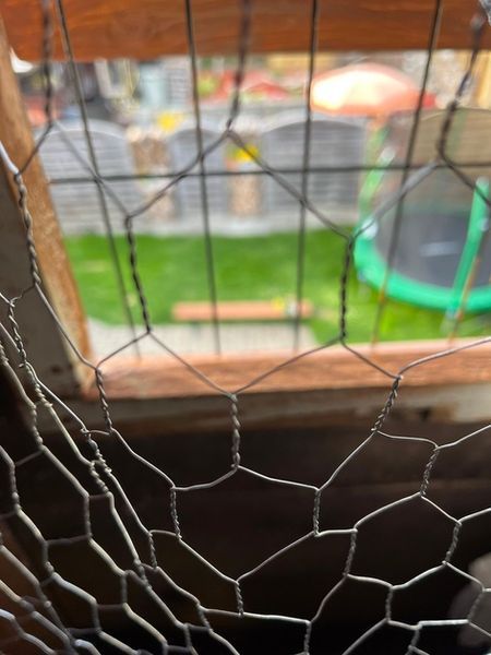 Maschendraht über einem Fenster, im Hintergrund sind ein Rasenplatz und ein Trampolin zu sehen.