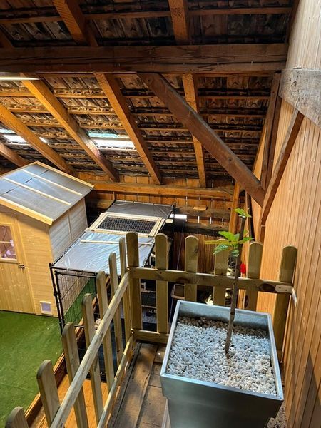 Holzbalkon mit Topfpflanze, kleinem Holzhaus und einem Dach im Innenbereich.