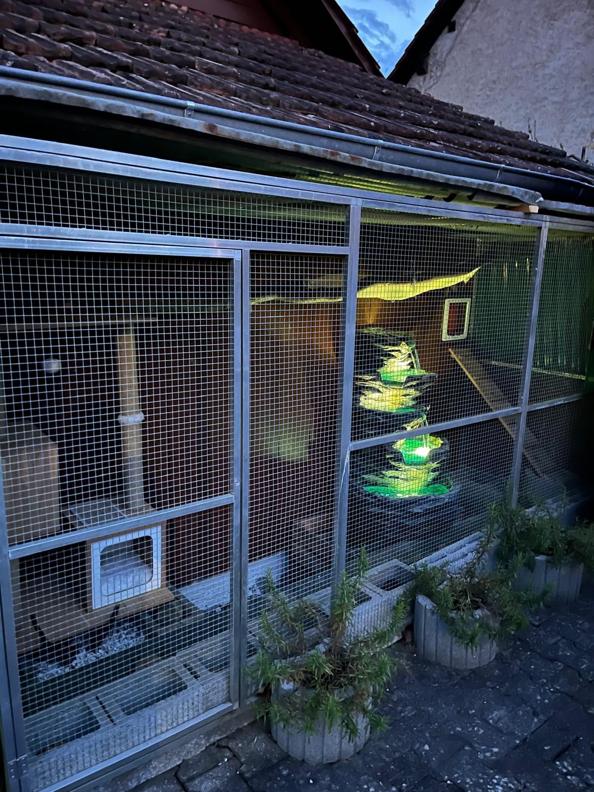 Katzengehege auf dem Dachboden mit Kratzbäumen, Haus und Futter-/Wasserspendern.