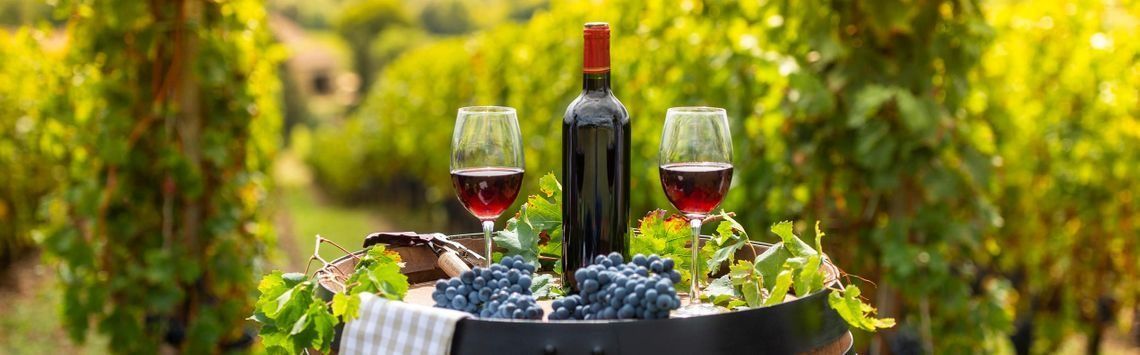 Una botella de vino, dos copas de vino y uvas en un cubo en un viñedo.