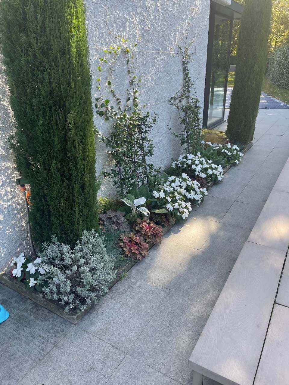 Un parterre de fleurs variées.