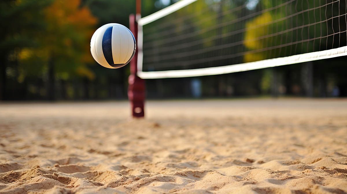 Hochwertige Böden und Erden für viele Anwendungszwecke