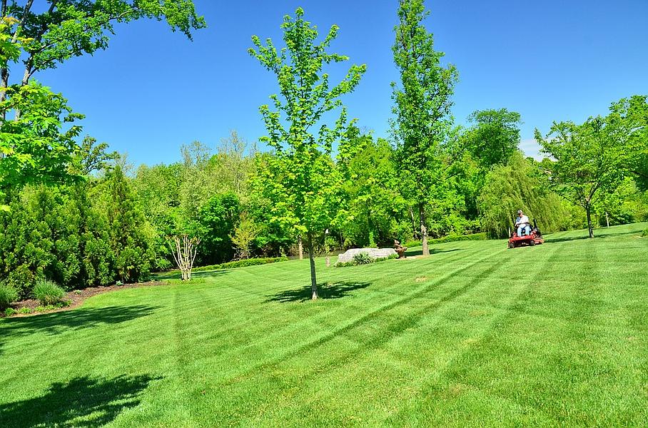 Entretien Forêts Paysages Services