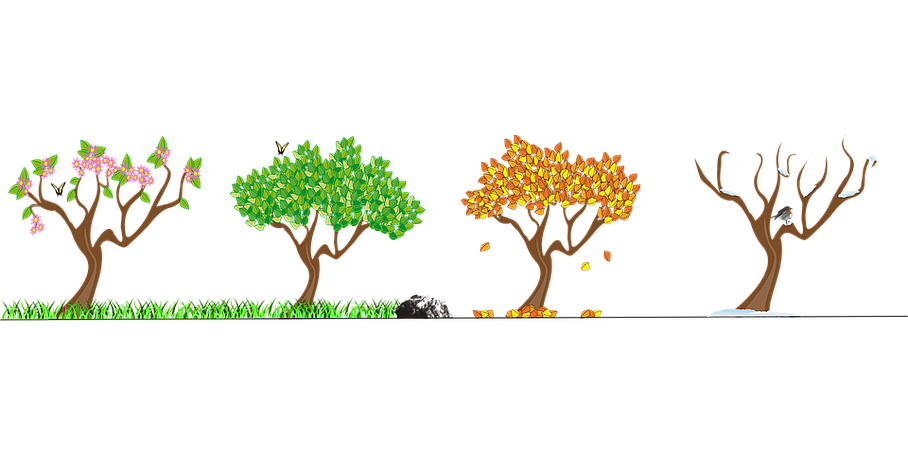 les quattres saisons Forêt Paysages Services