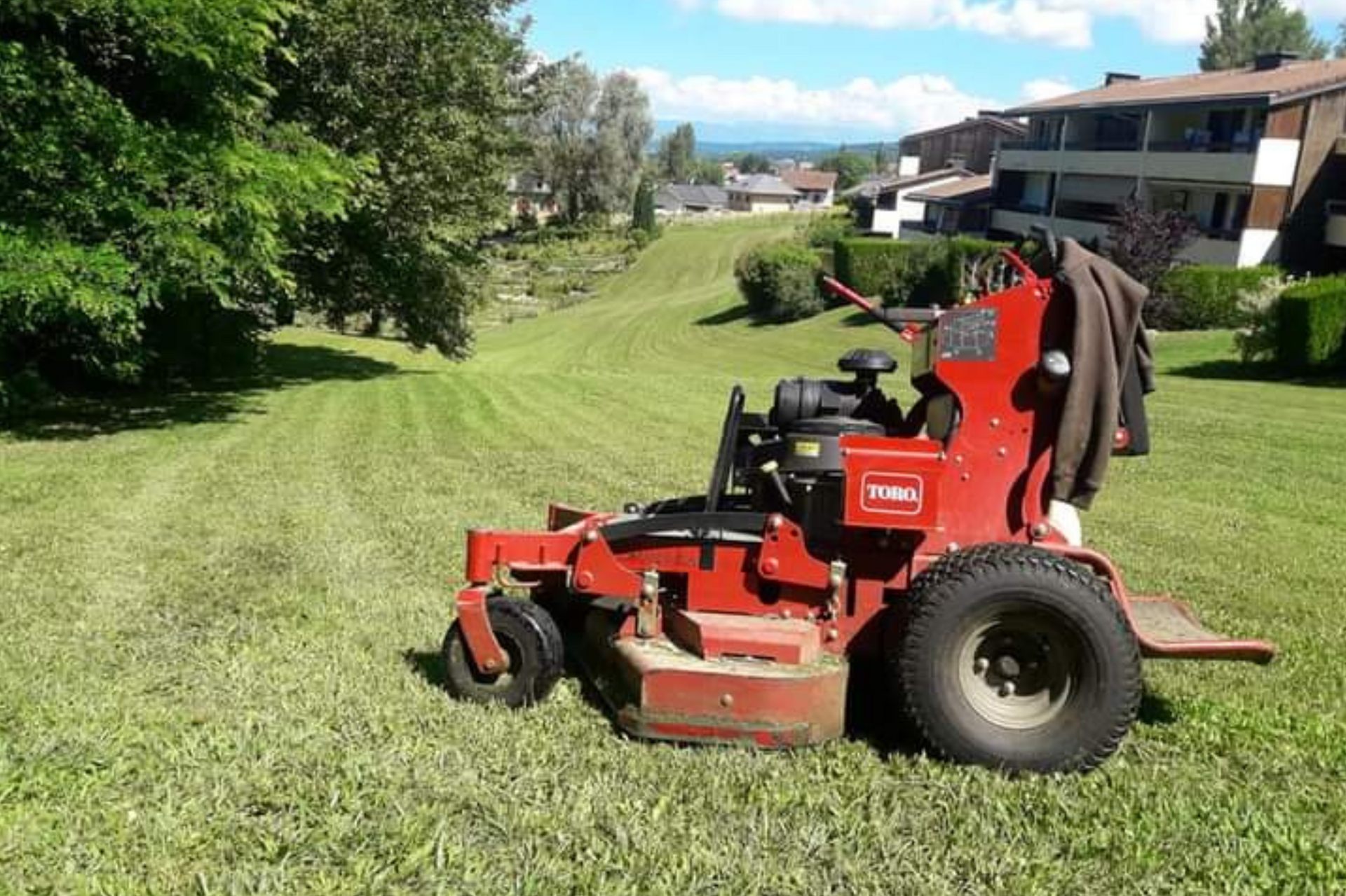 Ramassage feuilles par Forêts Paysages Services