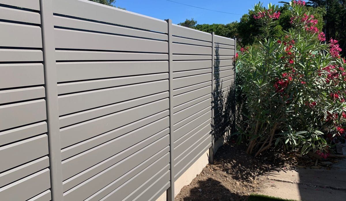 Laurier devant une clôture