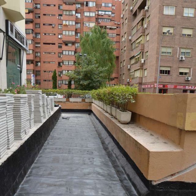 Una hilera de plantas en macetas están alineadas a lo largo de una pasarela frente a un edificio que dice daza
