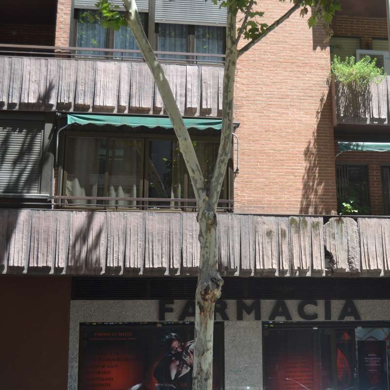Un edificio con la palabra farmacia en él