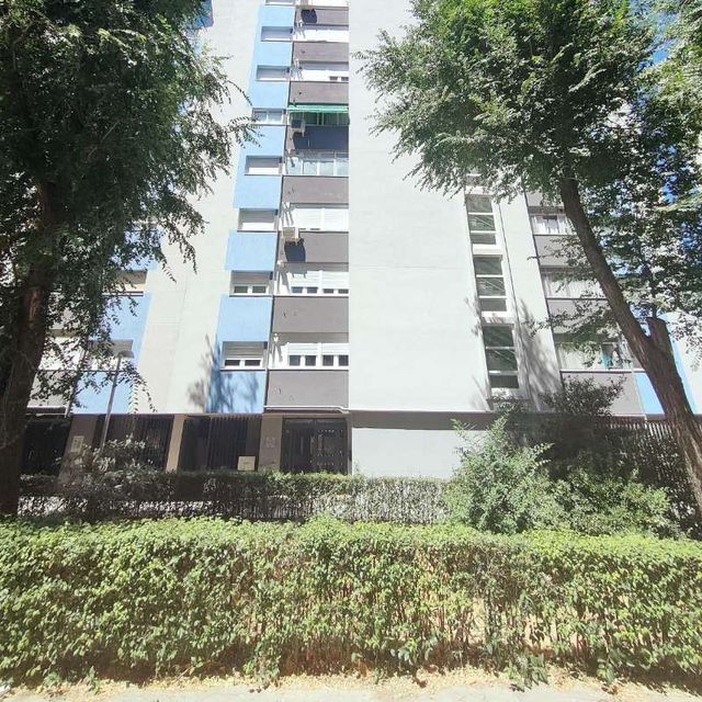 Mirando hacia arriba a un edificio alto con árboles frente a él