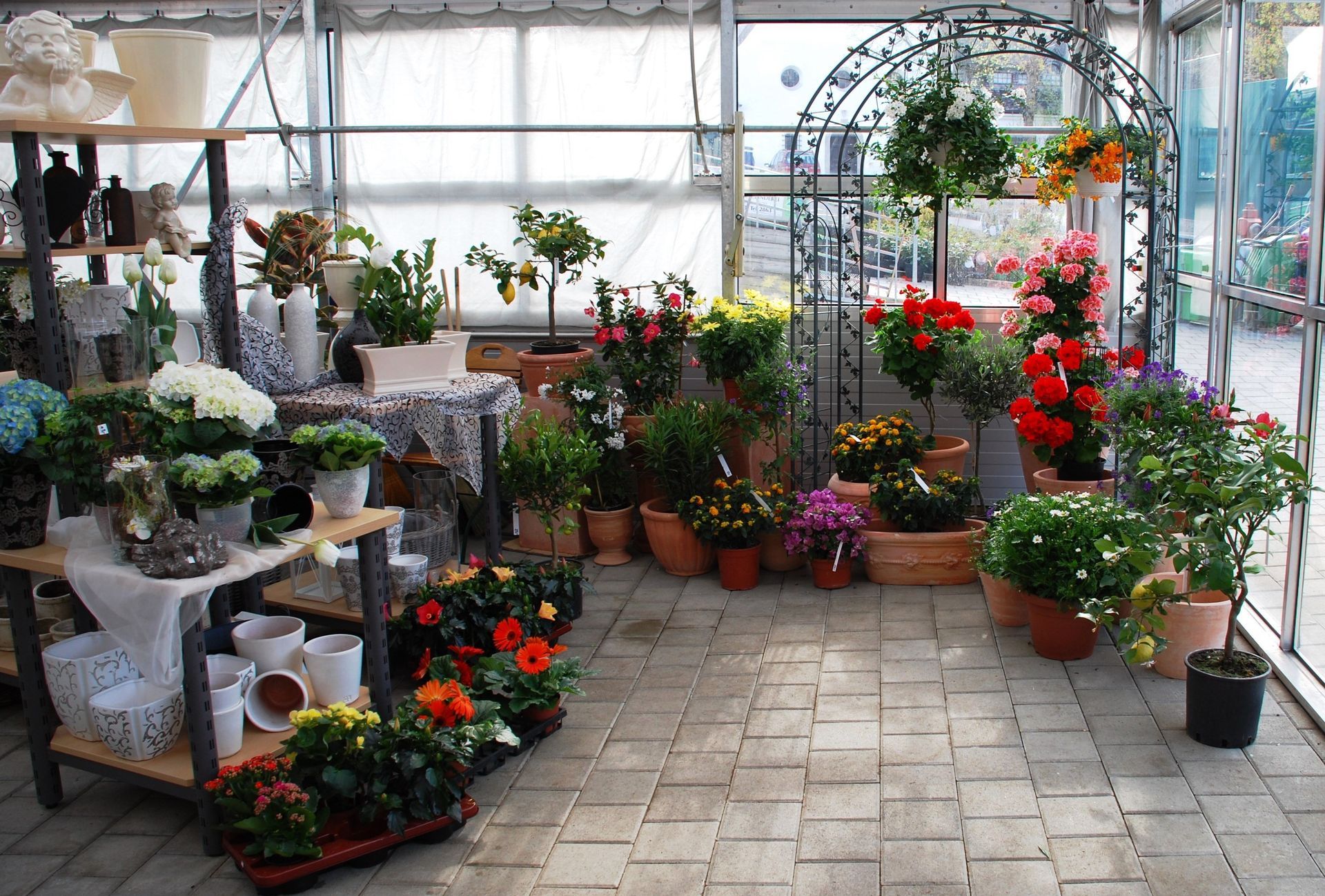 Jetzt kommt die Pflanzzeit für Balkon, Terrasse und Garten