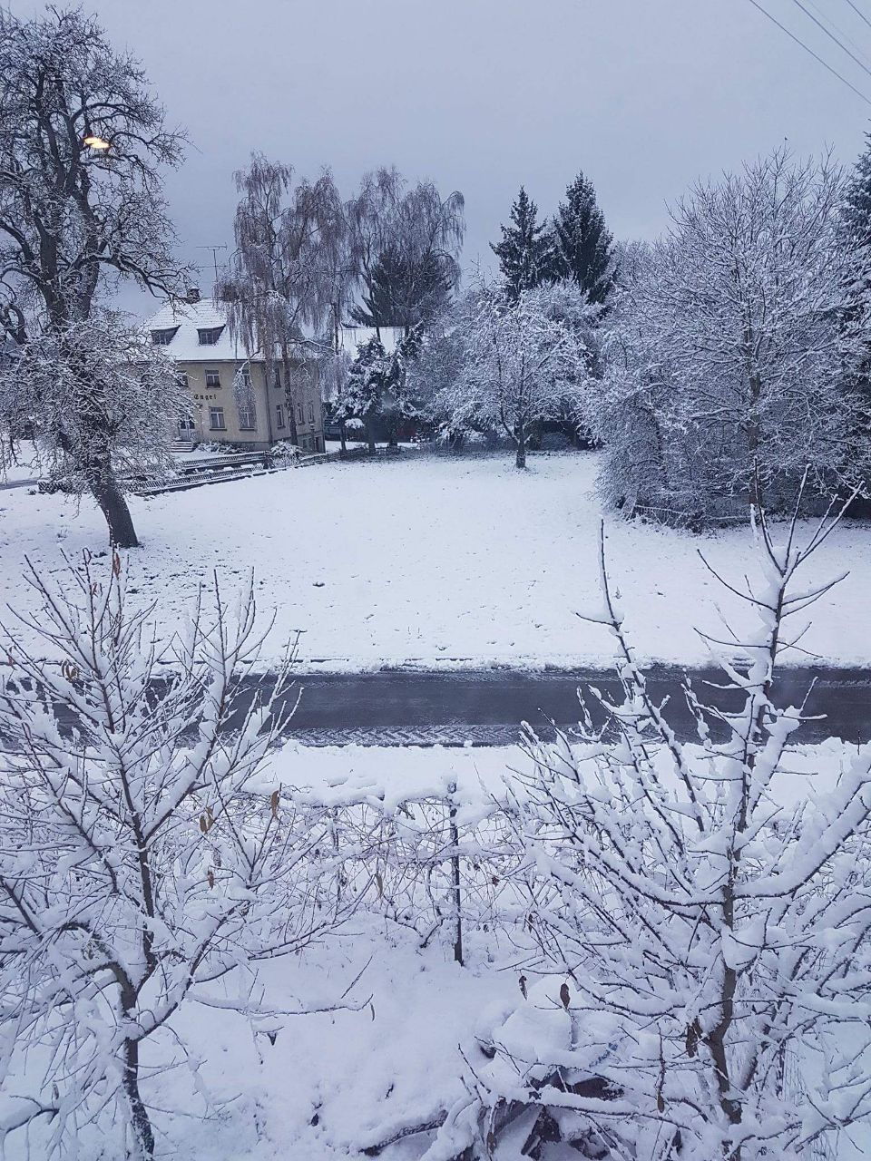 Ein schneebedecktes Feld mit Bäumen und einem Haus im Hintergrund