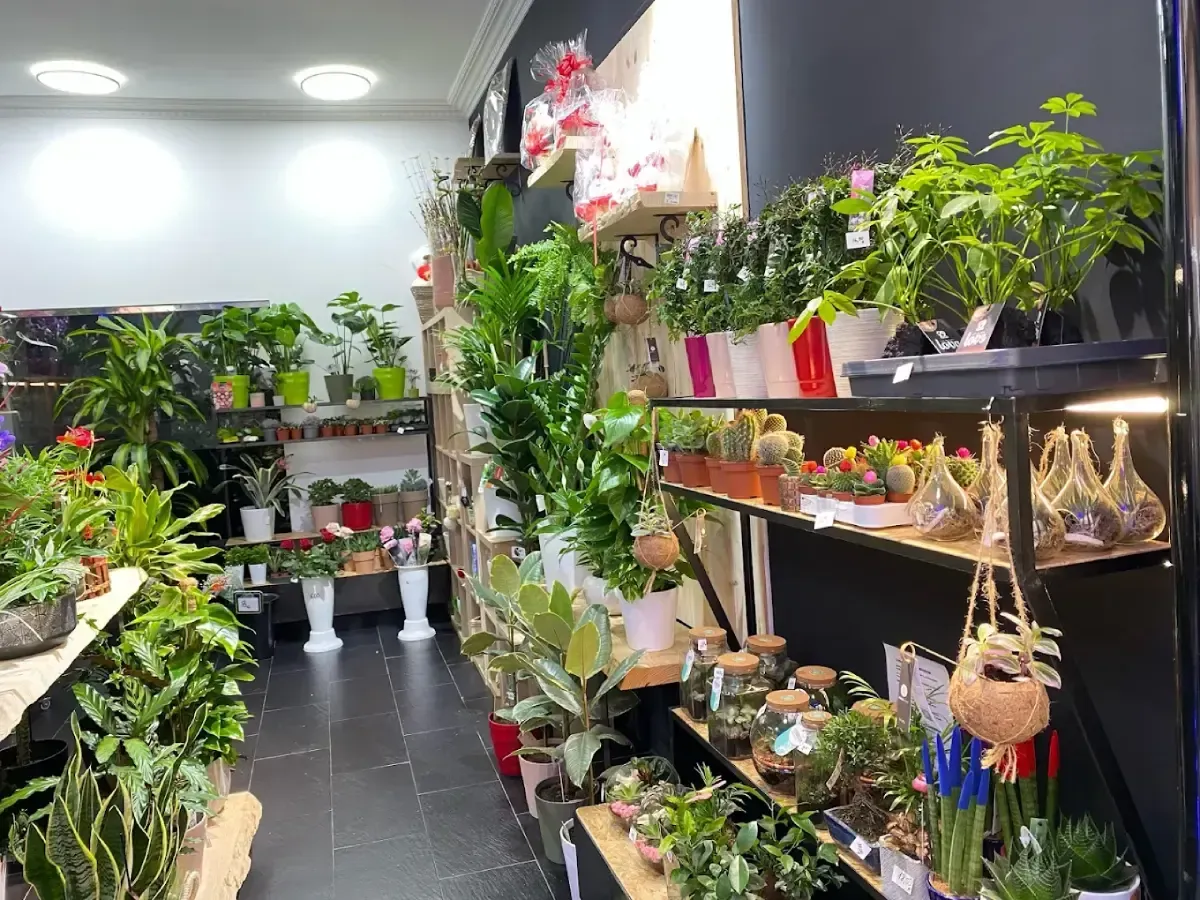 Icono de marcador de posición gris claro con un sol y montañas sobre fondo blanco