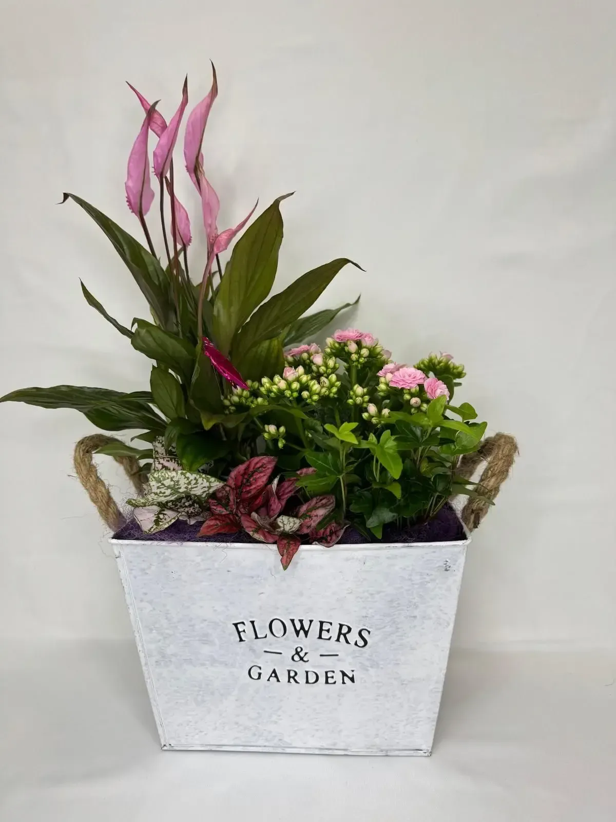 Icono de marcador de posición gris claro con un sol y montañas sobre fondo blanco