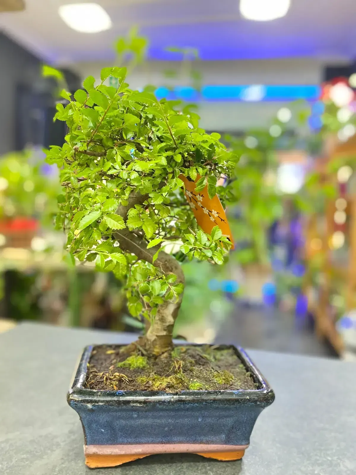 Icono de marcador de posición gris claro con un sol y montañas sobre fondo blanco