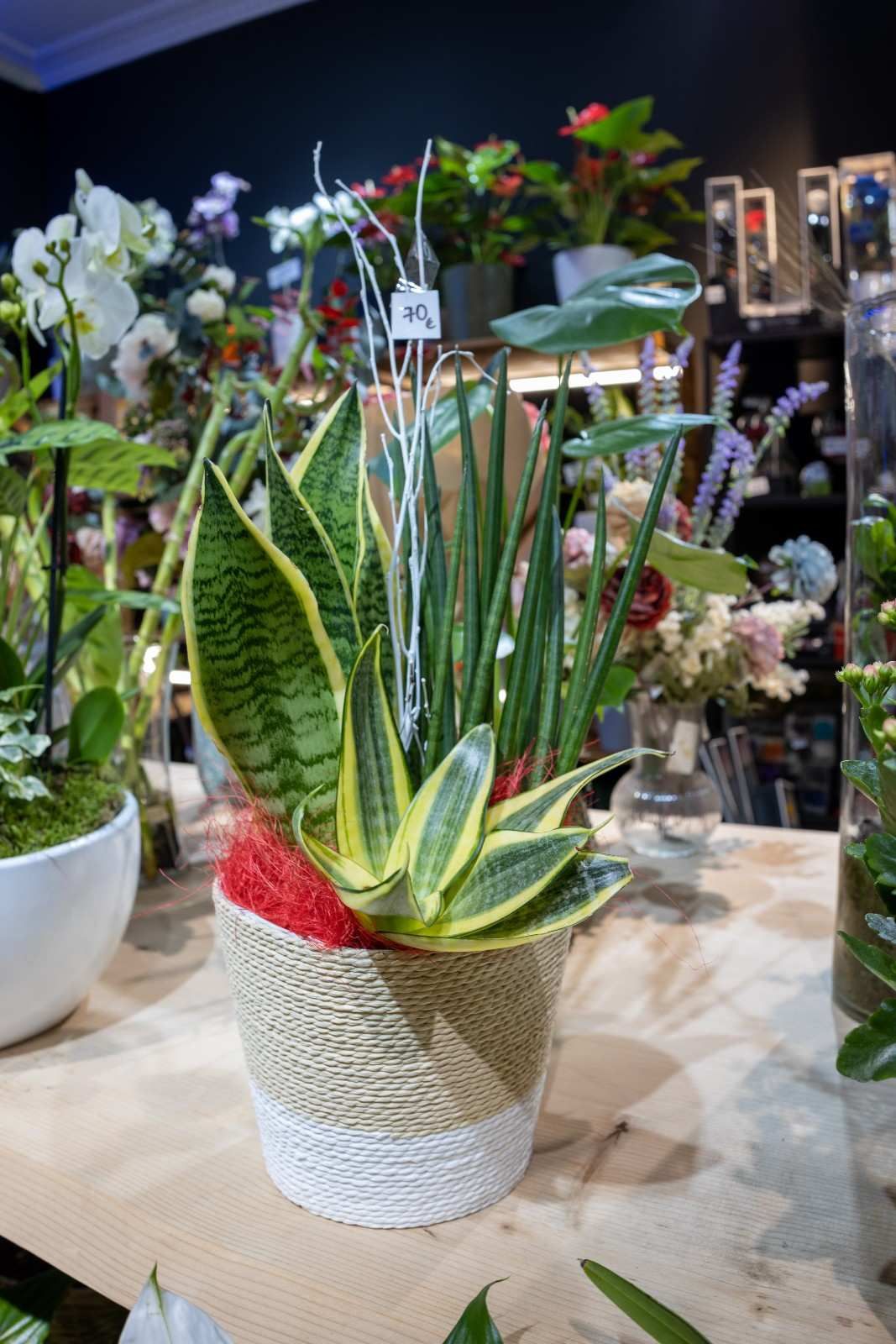 Icono de marcador de posición gris claro con un sol y montañas sobre fondo blanco