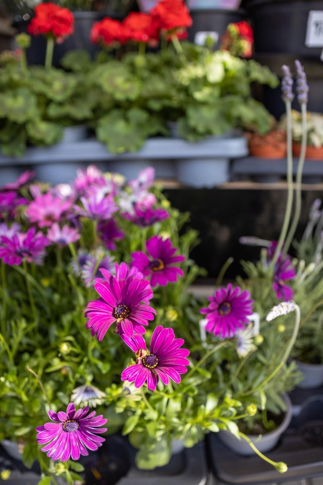 Icono de marcador de posición gris claro con un sol y montañas sobre fondo blanco