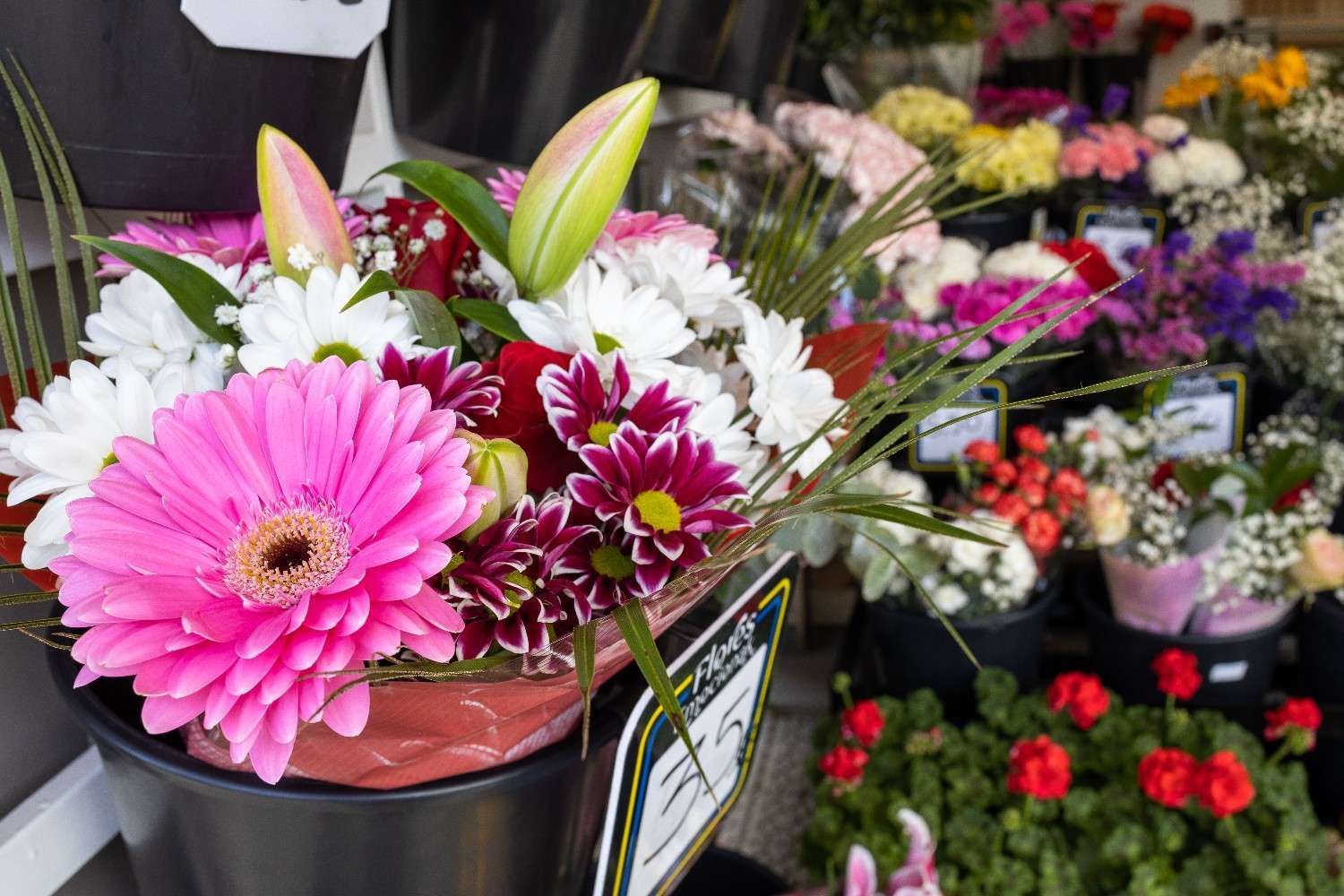 Icono de marcador de posición gris claro con un sol y montañas sobre fondo blanco