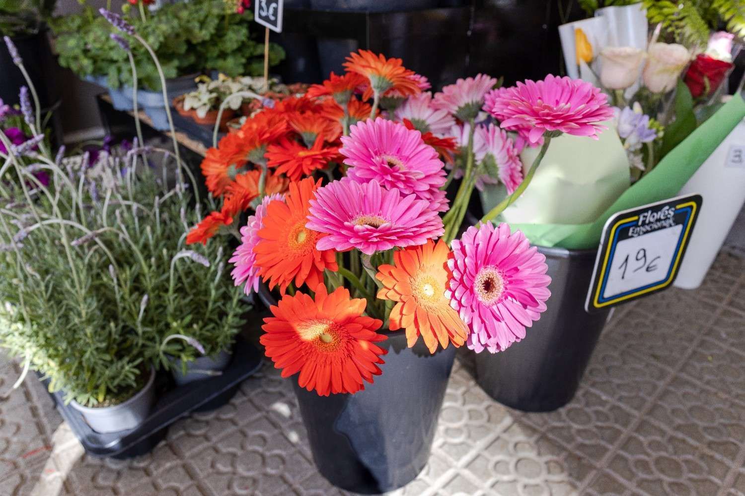 Icono de marcador de posición gris claro con un sol y montañas sobre fondo blanco
