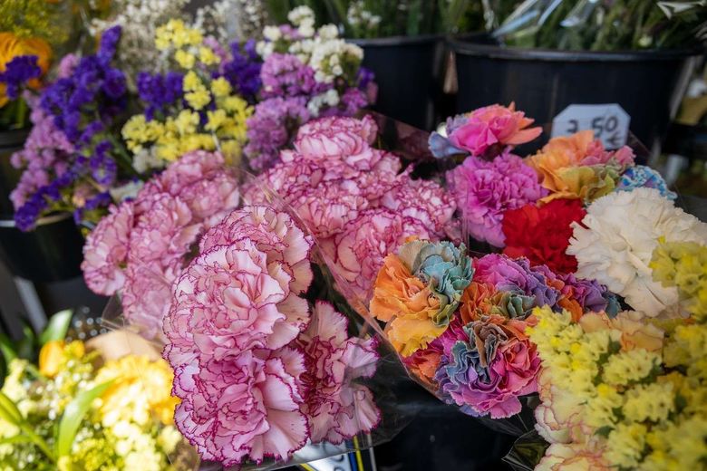 Icono de marcador de posición gris claro con un sol y montañas sobre fondo blanco