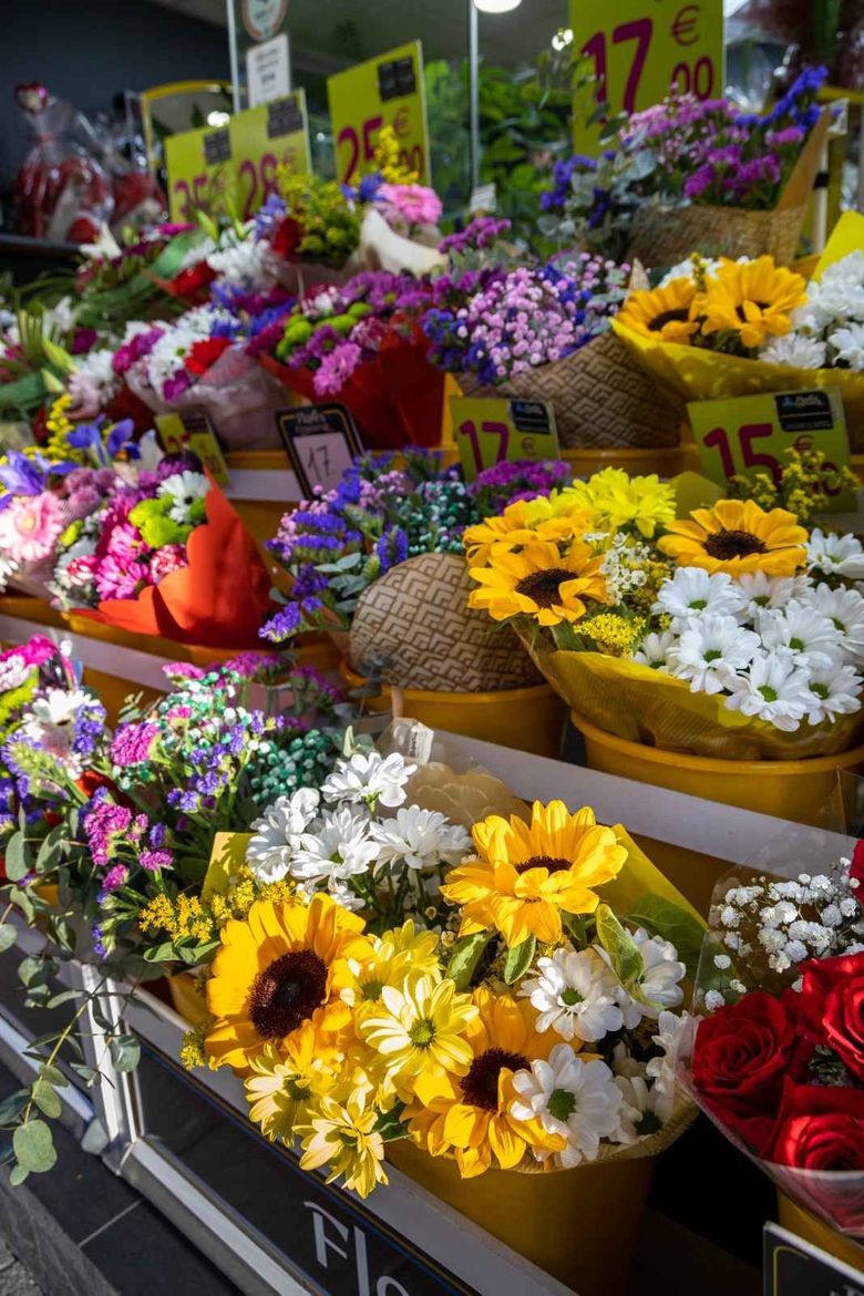 Icono de marcador de posición gris claro con un sol y montañas sobre fondo blanco