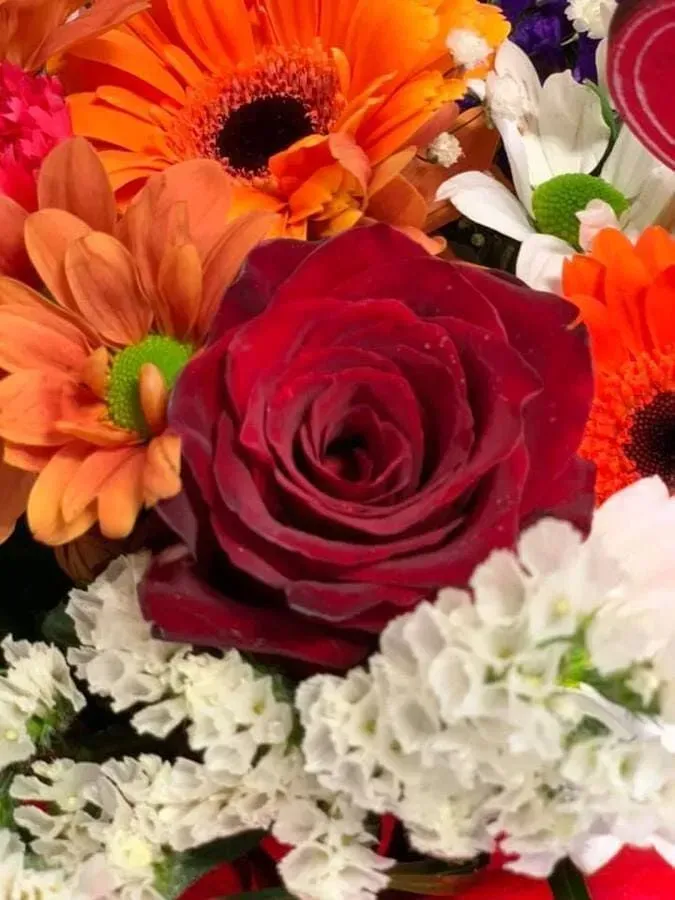 Un primer plano de una rosa roja rodeada de otras flores.