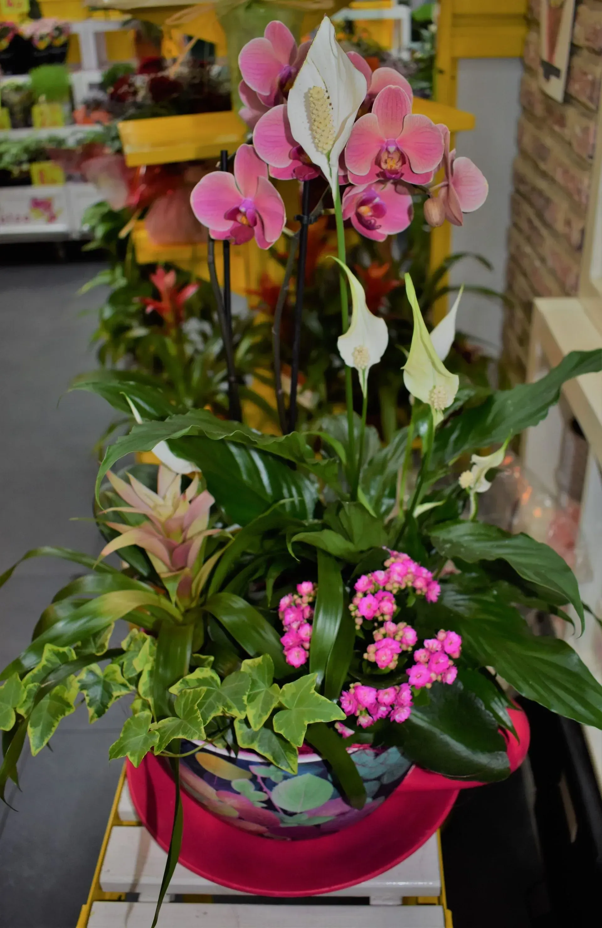 Una planta en maceta con flores rosas y hojas verdes está sentada sobre una mesa.